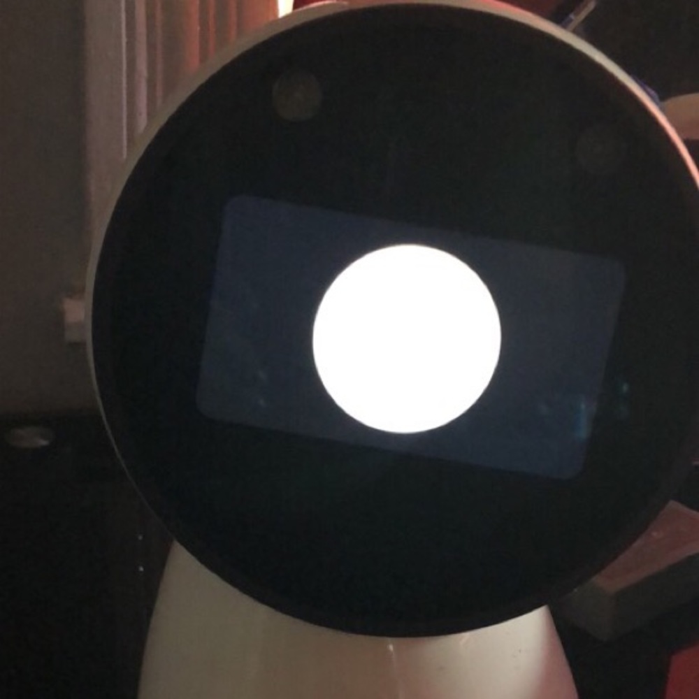 Jibo robot